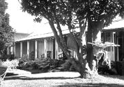 , Don Bank in the 1950s. The magnolia pictured here is still a feature of the garden. Stanton Library